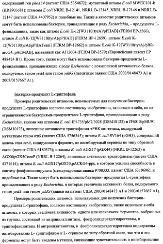 Способ получения l-треонина с использованием бактерии, принадлежащей к роду escherichia, в которой инактивирован оперон rspab (патент 2337961)