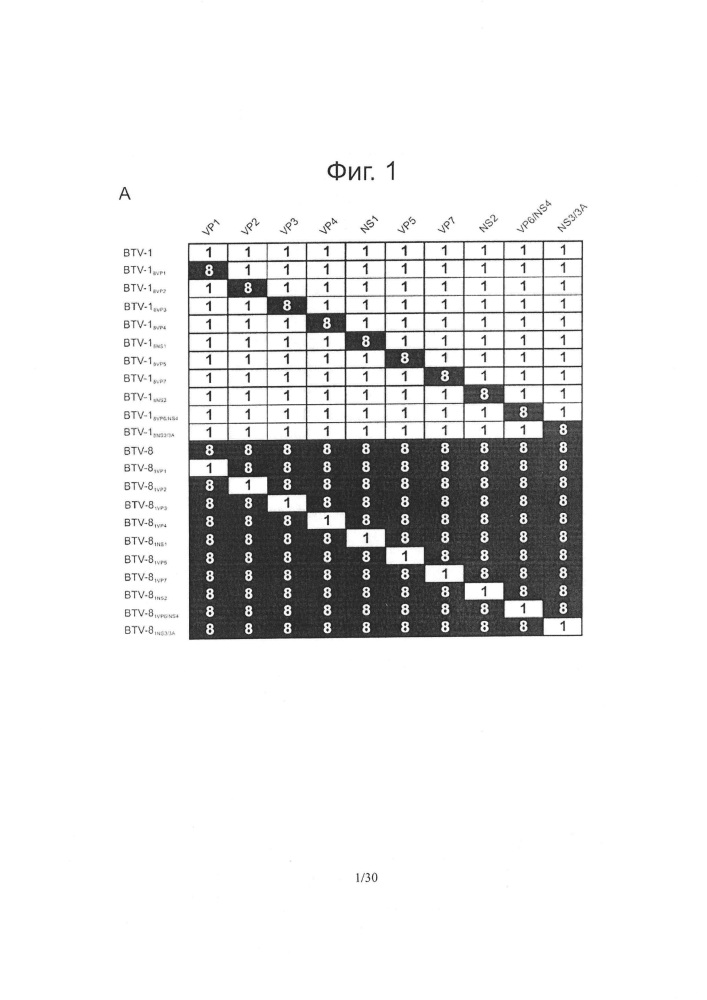 Реассортантные btv и ahsv вакцины (патент 2656187)