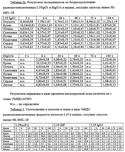 Избирательный направленный перенос в сосудистую сеть опухоли с использованием молекул антител (патент 2347787)