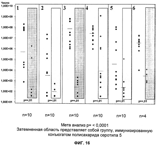 Иммуногенные композиции антигенов staphylococcus aureus (патент 2536981)