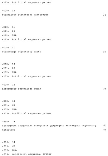 Способ получения l-аминокислот с использованием бактерии, принадлежащей к роду escherichia (патент 2312893)