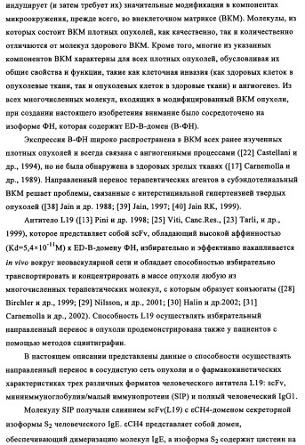 Избирательный направленный перенос в сосудистую сеть опухоли с использованием молекул антител (патент 2347787)