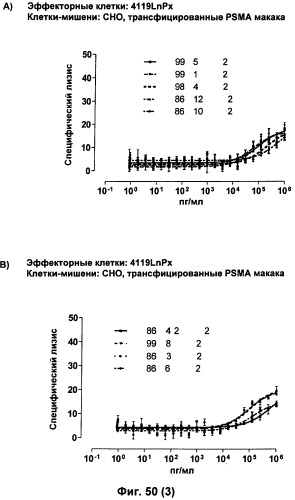 Psma×cd3 биспецифическое одноцепочечное антитело с межвидовой специфичностью (патент 2559531)