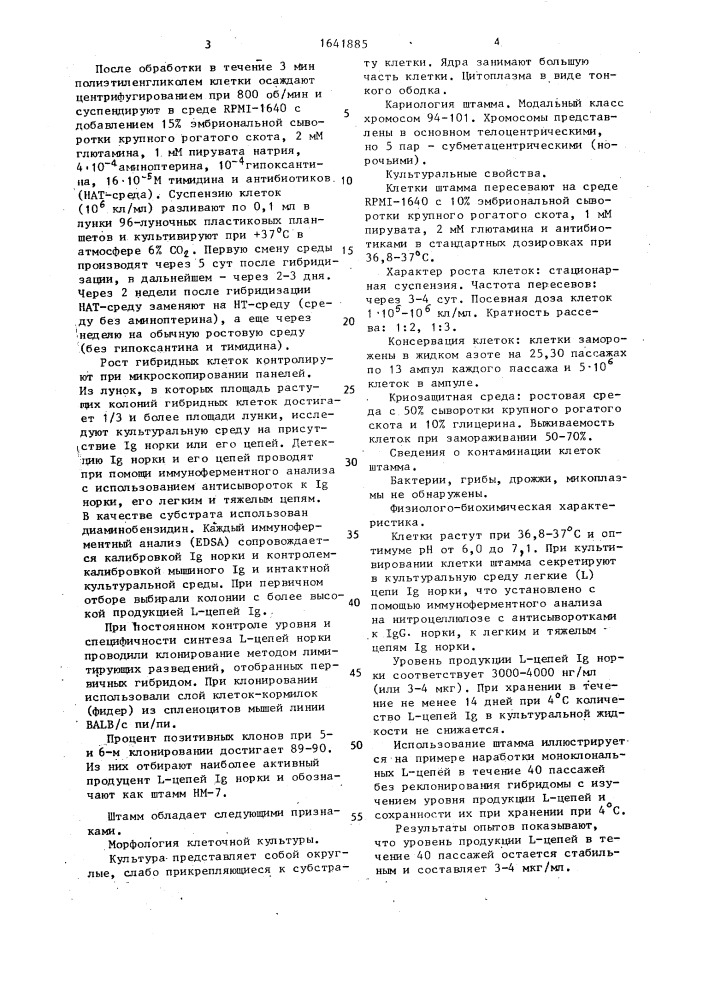 Штамм культивируемых межвидовых гибридных клеток мыши mus мusсulus l. и норки мusтеlа vison - продуцент легких цепей моноклонального иммуноглобулина норки (патент 1641885)