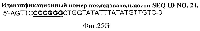 Иммуногенный эпитоп вируса гриппа (патент 2546872)