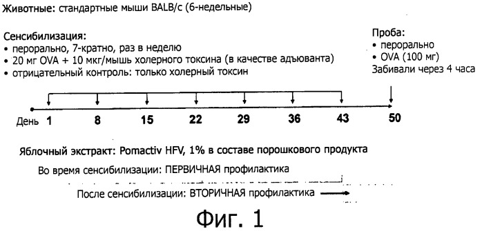 Питательная композиция, содержащая яблочный экстракт и снижающая симптомы пищевой аллергии, особенно у детей (патент 2536916)