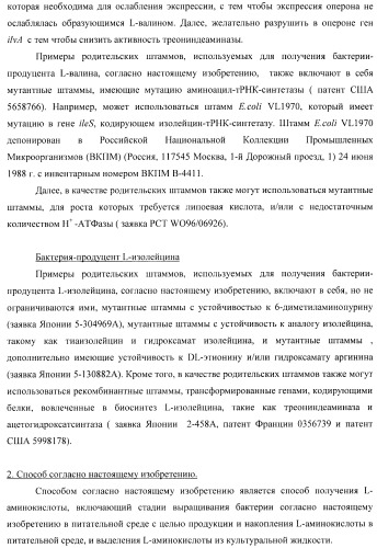 Способ получения l-треонина с использованием бактерии, принадлежащей к роду escherichia, в которой инактивирован ген yncd (патент 2396337)