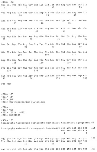 Гены corynebacterium glutamicum, кодирующие белки резистентности и толерантности к стрессам (патент 2303635)