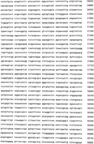 Бактериофаг, обладающий активностью против pseudomonas aeruginosa, белки бактериофага и способы их применения (патент 2580248)