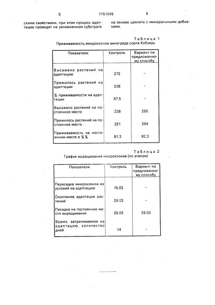 Способ выращивания посадочного материала винограда (патент 1761049)