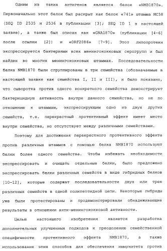 Химерные, гибридные и тандемные полипептиды менингококкового белка nmb1870 (патент 2431671)