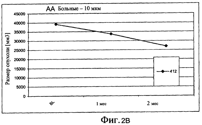 Дозирование олигонуклеотидов (патент 2427377)