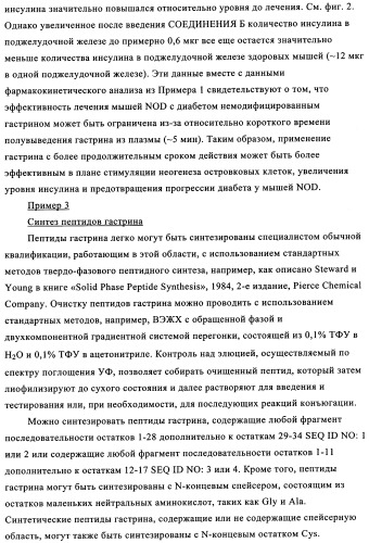 Композиции и лекарственные формы на основе гастрина, методы применения и получения (патент 2350351)