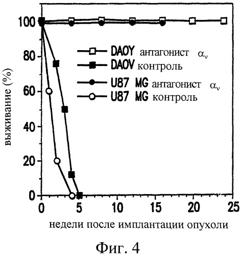 Способы ингибирования роста опухолей головного мозга с помощью антагонистов интегринов (патент 2377017)