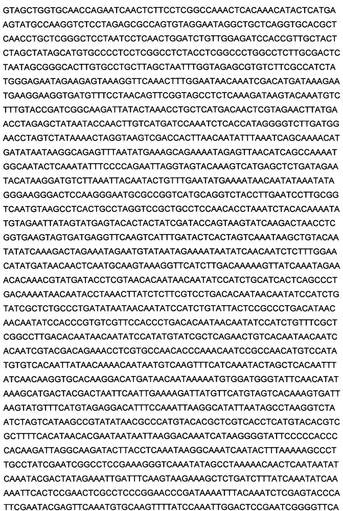 Изопропилмалат синтаза из nicotiana tabacum и способы и ее применение (патент 2644238)