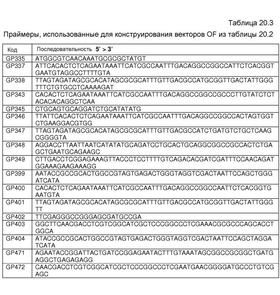 Клетка нитчатых грибов с дефицитом протеаз и способы ее применения (патент 2645252)