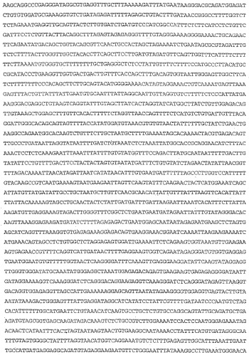 Применение s1p (патент 2362565)