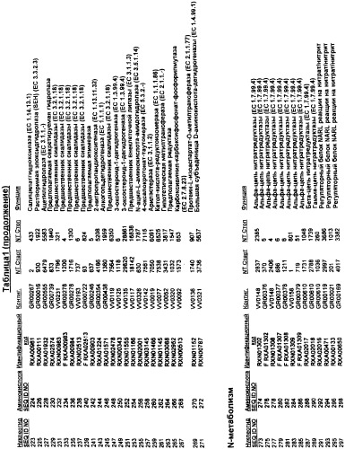 Гены corynebacterium glutamicum, кодирующие белки, участвующие в гомеостазе и адаптации (патент 2304616)