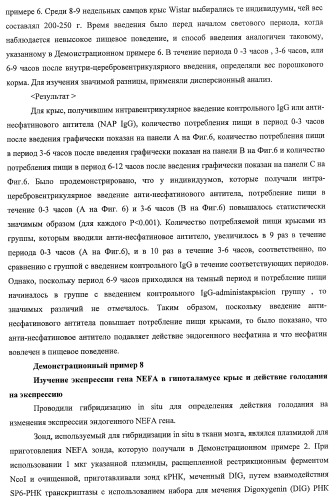 Способ получения фактора, связанного с контролем над потреблением пищи и/или массой тела, полипептид, обладающий активностью подавления потребления пищи и/или прибавления в весе, молекула нуклеиновой кислоты, кодирующая полипептид, способы и применение полипептида (патент 2418002)