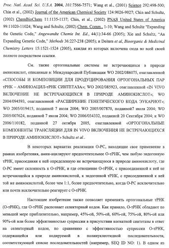 Система экспрессии компонентов ортогональной трансляции в эубактериальной клетке-хозяине (патент 2467069)