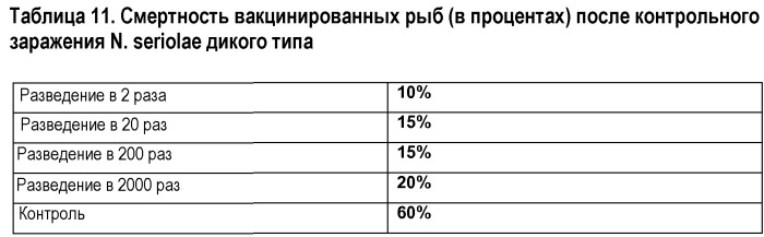 Применение бактерий, относящихся к группе нокардиоформных актиномицетов, для получения фармацевтической композиции и способ использования такой фармацевтической композиции (патент 2543663)