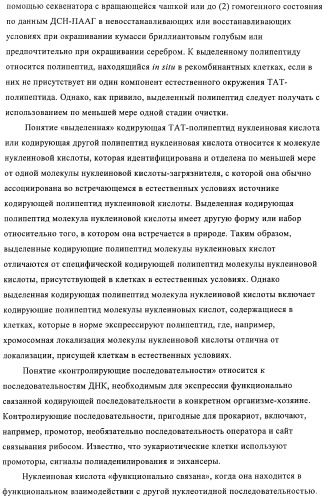 Композиции и способы диагностики и лечения опухоли (патент 2430112)