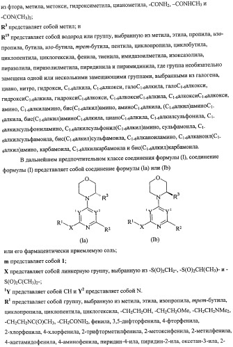 Производные морфолинопиримидина, полезные для лечения пролиферативных нарушений (патент 2440349)