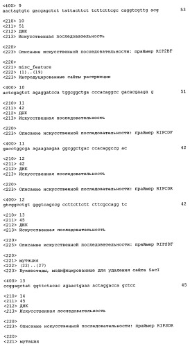 Растение и растительная клетка, трансформированные химерным геном (патент 2275426)