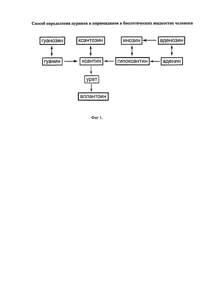 Способ определения пуринов и пиримидинов в биологических жидкостях человека (патент 2620155)