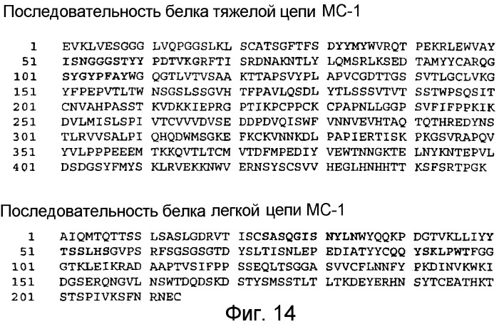 Не мышиное анти-m-csf-антитело (варианты), его получение и использование (патент 2401277)