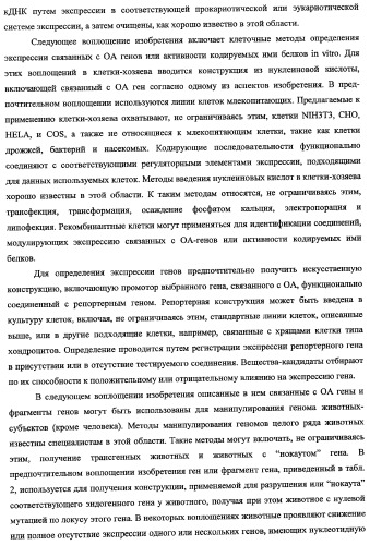 Гены, связанные с остеоартритом собак, и относящиеся к этому способы и композиции (патент 2341795)