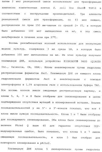 Клетка-хозяин trichoderma reesei для получения целлюлолитической белковой композиции, целлюлолитическая белковая композиция, способы ее получения и применения (патент 2494146)