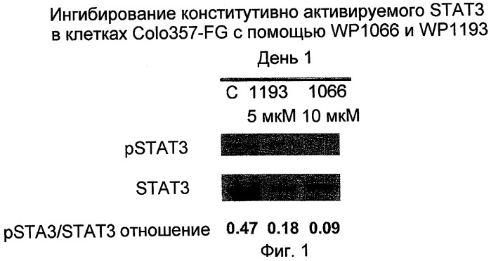 Биологически доступная для перорального применения кофейная кислота, относящаяся к противоопухолевым лекарственным средствам (патент 2456265)