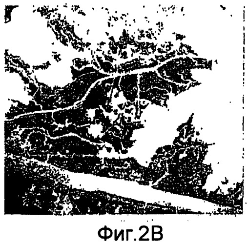 Основанные на применении компьютера формирование и проверка тренировочных образов, предназначенных для многоточечного геостатистического анализа (патент 2391686)
