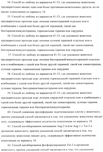 Стабилизированные антитела против ангиопоэтина-2 и их применение (патент 2509085)