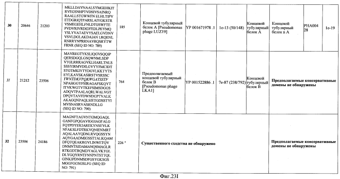 Бактериофаг, обладающий активностью против pseudomonas aeruginosa, белки бактериофага и способы их применения (патент 2580248)