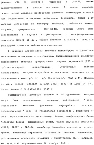 Способ лечения волчанки (патент 2396980)