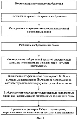 Способ фильтрации изображения папиллярных линий (патент 2378696)