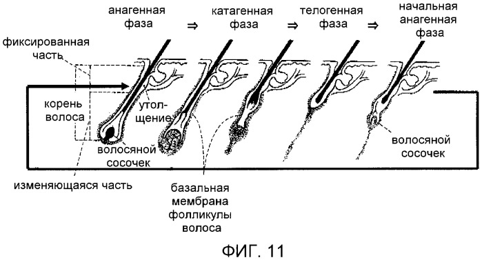 Устройство для облучения светом (патент 2491106)