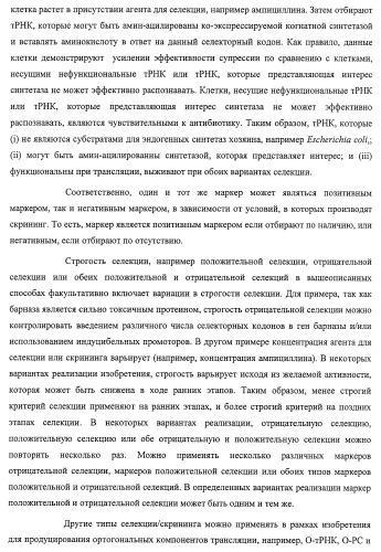 Система экспрессии компонентов ортогональной трансляции в эубактериальной клетке-хозяине (патент 2467069)