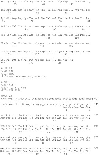 Гены corynebacterium glutamicum, кодирующие белки, участвующие в гомеостазе и адаптации (патент 2304616)