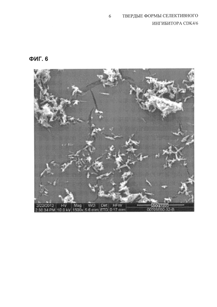 Твердые формы селективного ингибитора cdk4/6 (патент 2619944)