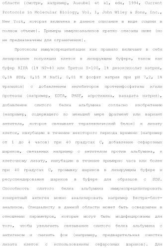 Слитые белки альбумина (патент 2369404)