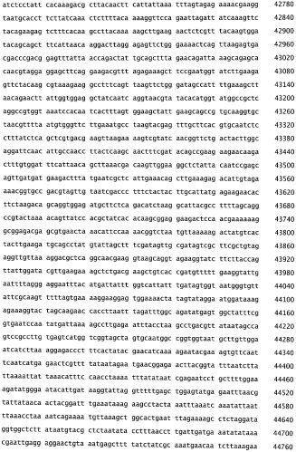 Бактериофаг, обладающий активностью против pseudomonas aeruginosa, белки бактериофага и способы их применения (патент 2580248)