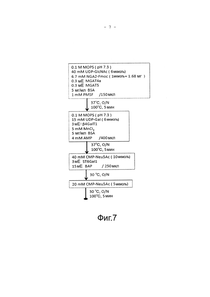Способы получения сахарной цепи, содержащей сиаловую кислоту (патент 2597975)