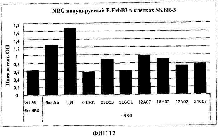 Антитела к erbb3 (патент 2568051)