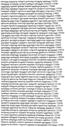 Модуляция экспрессии гентингтина (патент 2562861)