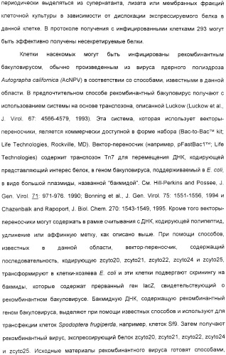 Выделенный полипептид, обладающий антивирусной активностью (варианты), кодирующий его полинуклеотид (варианты), экспрессирующий вектор, рекомбинантная клетка-хозяин, способ получения полипептида, антитело, специфичное к полипептиду, и фармацевтическая композиция, содержащая полипептид (патент 2321594)