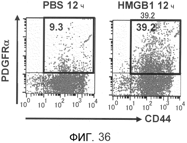 Способ сбора функциональных клеток in vivo с высокой эффективностью (патент 2571230)