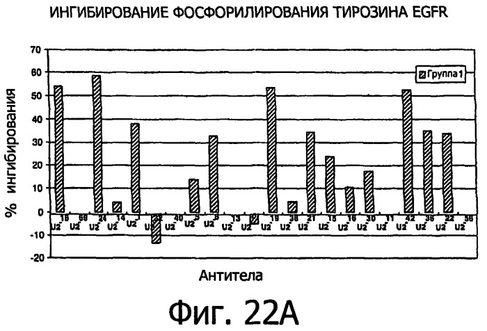 Белки, связывающие антиген фактор роста, подобный гепаринсвязывающему эпидермальному фактору роста (патент 2504551)